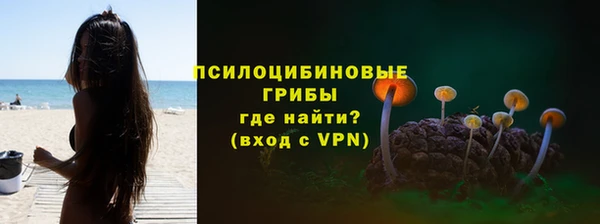 шишки Армянск