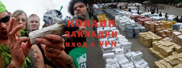 шишки Армянск