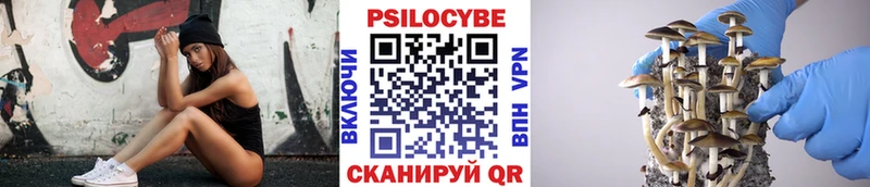наркотики  Павловский Посад  Галлюциногенные грибы MAGIC MUSHROOMS 