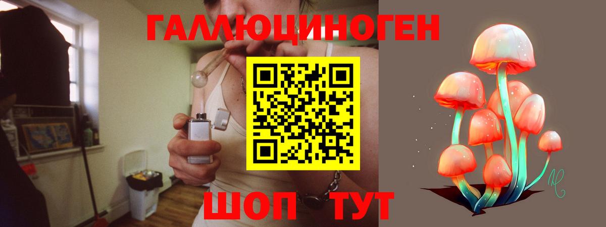 Псилоцибиновые грибы Psilocybine cubensis  Вход с VPN  где продают наркотики  Павловский Посад 